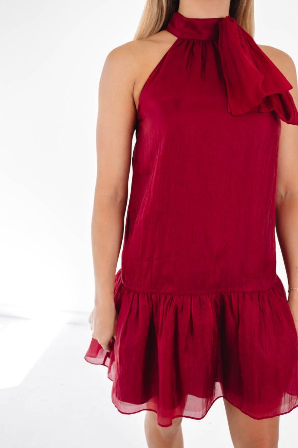 The Cole Dress - Burgundy Hot on Sale