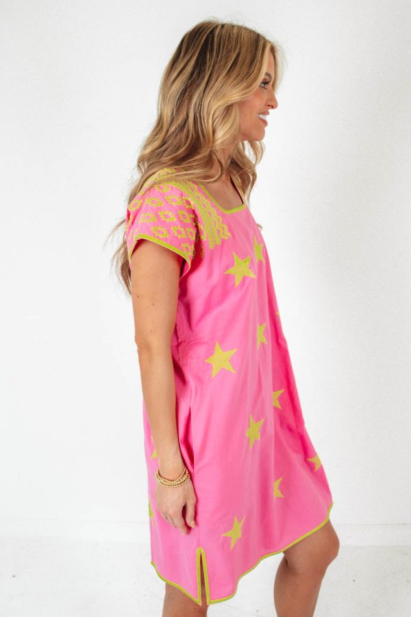 The Delanie Dress - Pink Online now