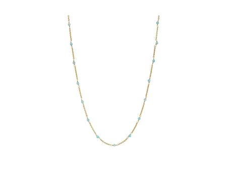 Amazonite Small Beaded Necklace Fashion